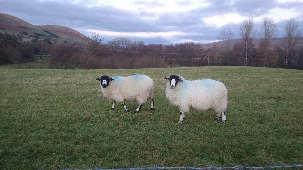 Vila La'Al Yam Sedbergh Exteriér fotografie