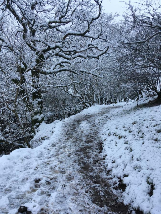 Vila La'Al Yam Sedbergh Exteriér fotografie