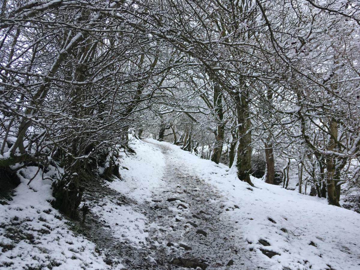 Vila La'Al Yam Sedbergh Exteriér fotografie